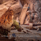 Illustration for article titled How One Of emHorizon Zero Dawn’s /emMost Powerful Scenes Connects Aloys Childhood With Her Future